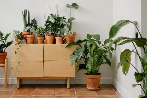 Les bienfaits d'une déco écologique sur votre bien-être